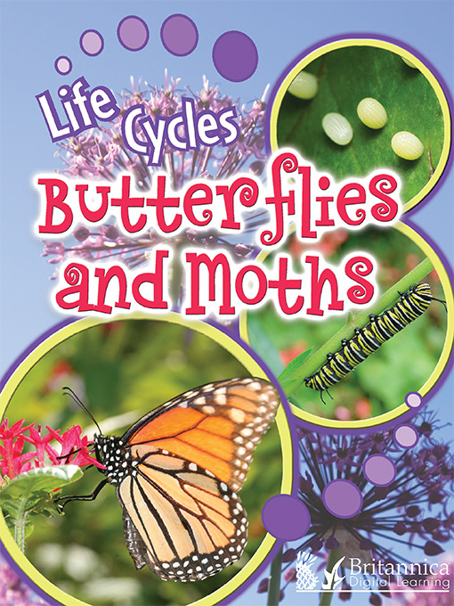 Title details for Butterflies and Moths by Julie K. Lundgren - Available